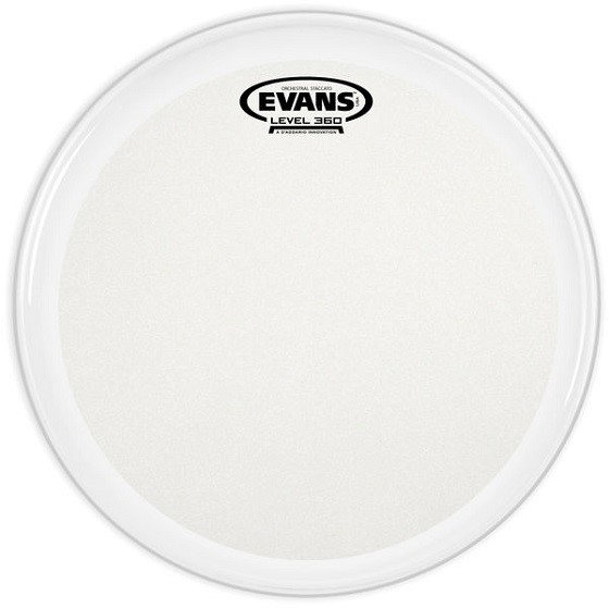 Evans concert drumhead - B14GCSS