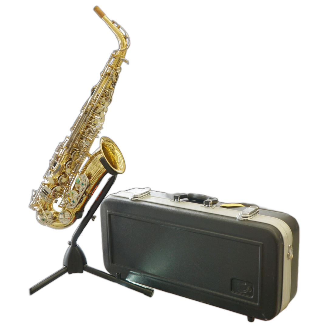 Used Selmer AS600